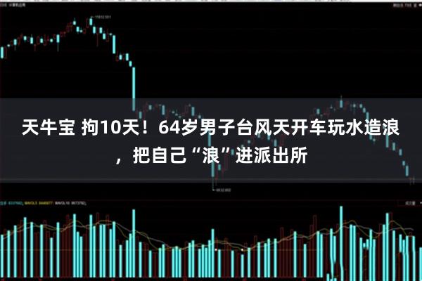 天牛宝 拘10天!64岁男子台风天开车玩水造浪,把自己“浪”进派出所