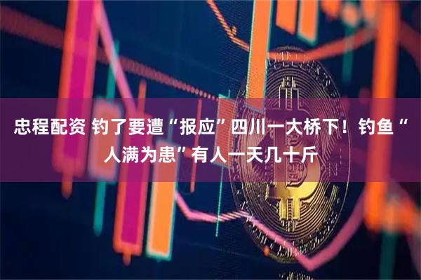 忠程配资 钓了要遭“报应”四川一大桥下!钓鱼“人满为患”有人一天几十斤