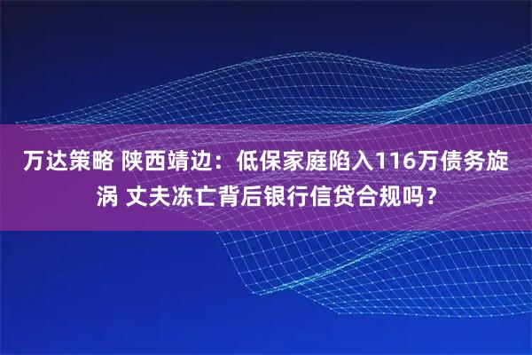 万达策略 陕西靖边：低保家庭陷入116万债务旋涡 丈夫冻亡背后银行信贷合规吗？