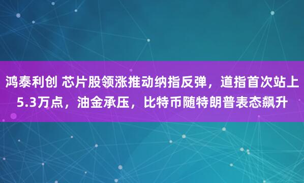 鸿泰利创 芯片股领涨推动纳指反弹，道指首次站上5.3万点，油金承压，比特币随特朗普表态飙升